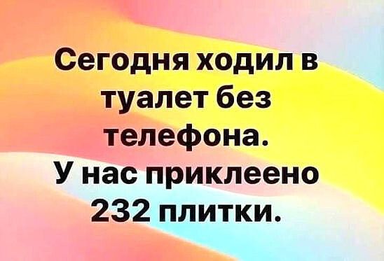 Сегодня ходил в туалет без телефона У нас приклеено 232 плитки