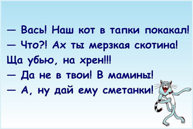Вась Наш кот в тапки покакал Что Ах ты мерзкая скотина Ща убью на хрен Да не в твои В мамины А ну дай ему сметанки