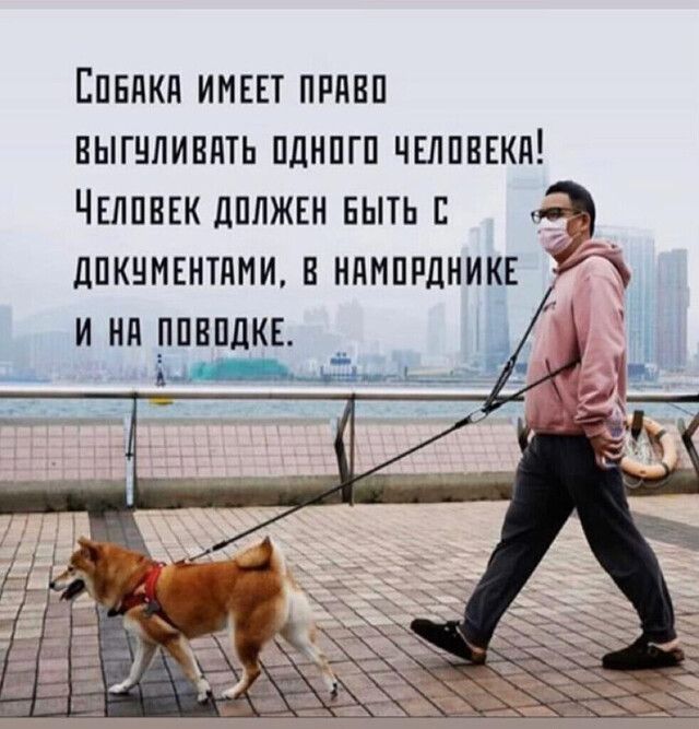 Епвдкд имш ппднп выгнливдть пднпгп чЕлпвЕкд ЧЕлпввкдплжвн вытьп дпквмвнтдми вндмппдникн индппвпдкв _ д дщщь