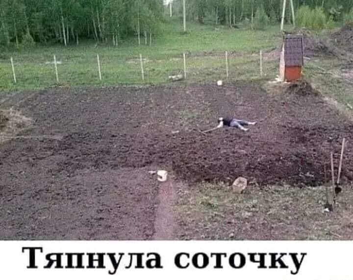 Тяпнупа соточку