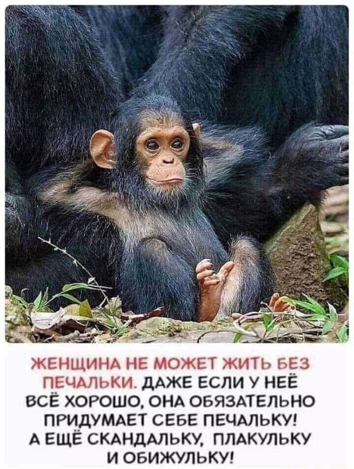 ЖЕНЩИНА не может жить 553 печдльки дАЖЕ если у НЕЁ все хорошо ОНА ОБЯЗАТЕЛЬНО придумдвт СЕБЕ ПЕЧАЛЬКУ А ЕЩЕ СКАНДАЛЬКУ ПЛАКУЛЬКУ и овижульки
