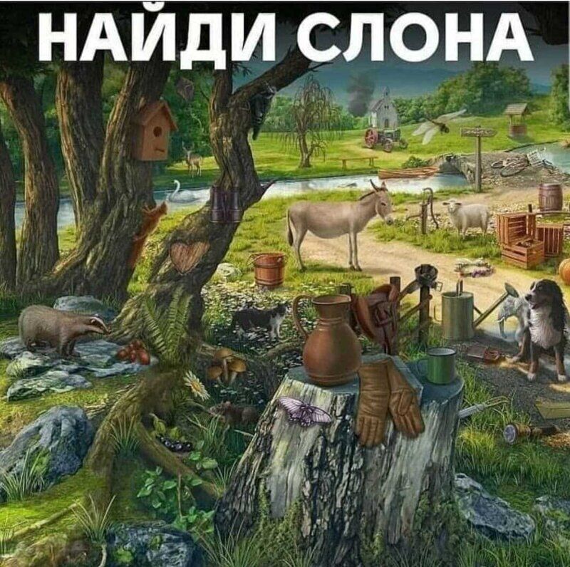 НАИдИ СД95А