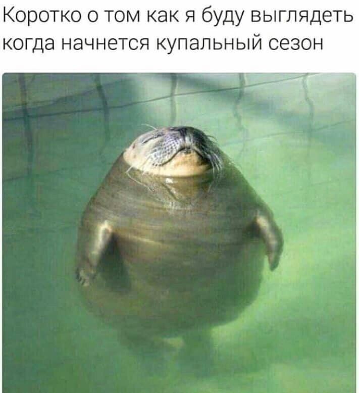 Коротко о том как я буду выглядеть когда начнется купальный сезон