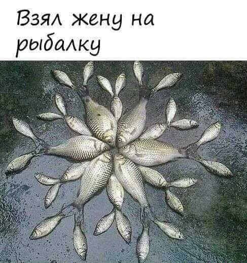 ВЗЯА жену на рыбажу д