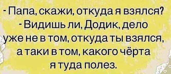 Папа скажи откуда я взялся Видишь пиДодикдепо уже не в том откуда ты взялся а таки в том какого чёрта я туда полез