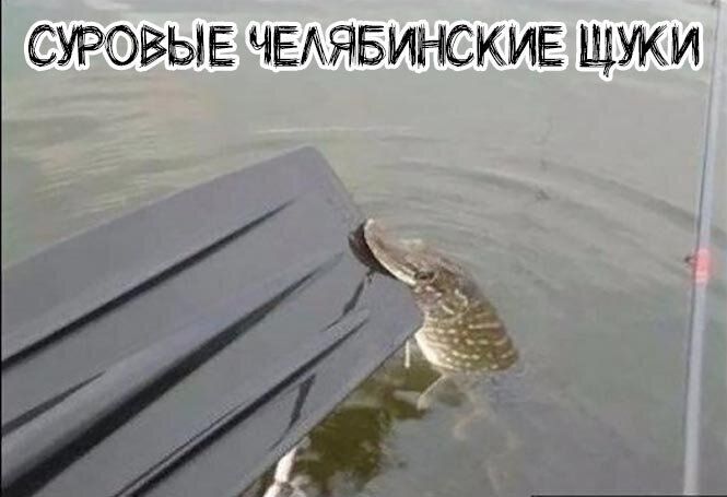 СУРОВЫЕ ЧЕАЯБИНСКИЕ щуки