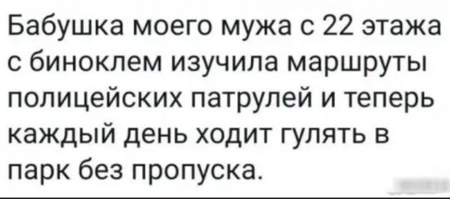 Бабушка моего мужа с 22 этажа с биноклем изучила маршруты полицейских патрулей и теперь каждый день ходит гулять в парк без пропуска