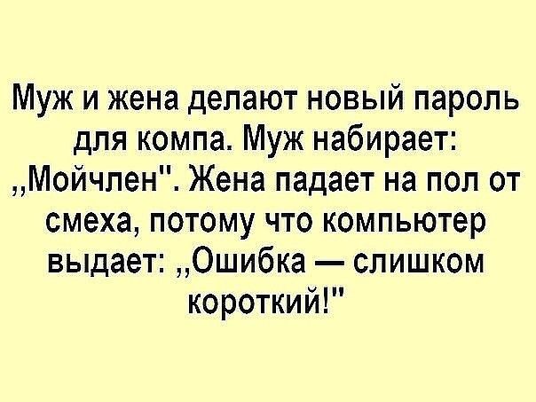 Муж и жена делают новый пароль для компа Муж набирает Мойчпен Жена падает на пол от смеха потому что компьютер выдает Ошибка слишком короткий