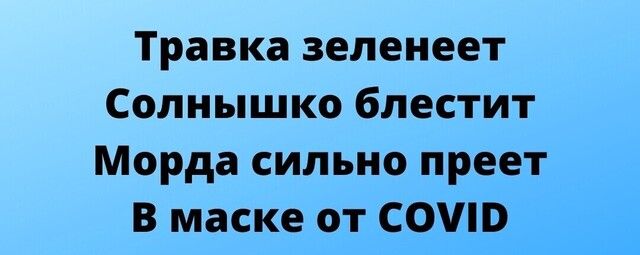 Травка зеленеет Солнышко блестит Морда сильно преет В маске от СОШВ
