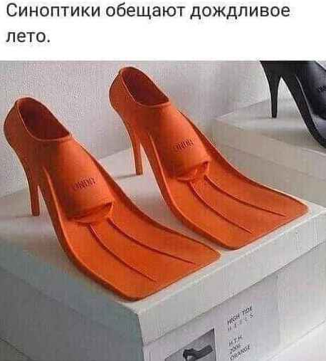 Синоптики обещают дождливое лето