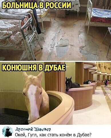 Окей Гугп и пать конем вдубвеТ