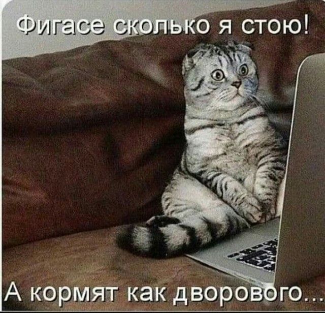 чё ___ А ко 3551 как дворб ого