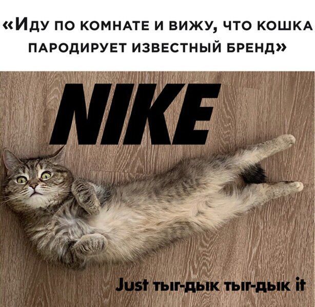 ИДУ ПО КОМНАТЕ И ВИЖУ ЧТО КОШКА ПАРОДИРУЕТ ИЗВЕСТНЫЙ БРЕНД