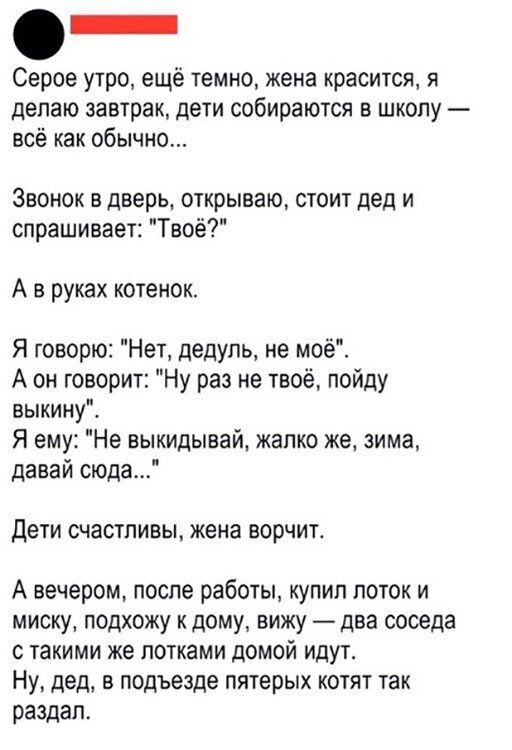 Серое утро ещё темно жена красится я делаю завтрак дети собираются в школу всё как обычно Звонок в дверь открываю стоит дед и спрашивает Твоё А в руках котенок Я говорю Нет дедупь не моё А он говорит Ну раз не твоё пойду выкинуі Я ему Не выкидывай жалко же зима давай сюда дети СЧаСТПИВЫ жена ворчито А вечером после работы купил поток и миску подхожу к дому вижу два соседа с такими же потками домой