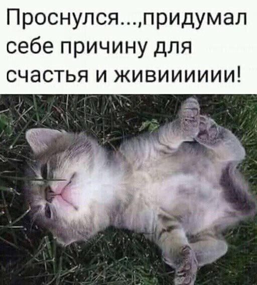 Проснулсяпридумал себе причину для счастья и живииииии