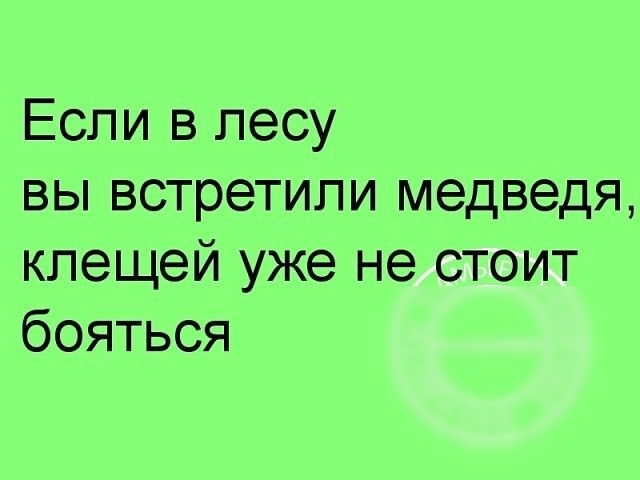 Если в лесу вы встретили медведя клещей уже не стоит бояться