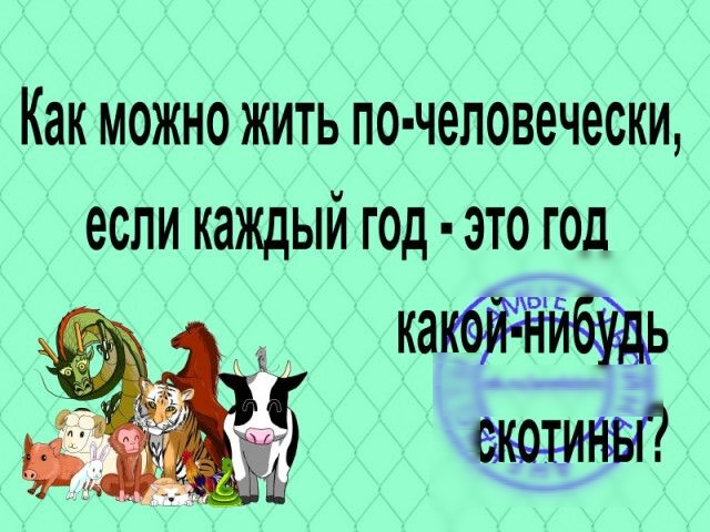 Как можно жить по чеповечески если каждый год это год