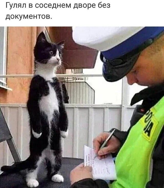 Гулял в соседнем дворе без документов