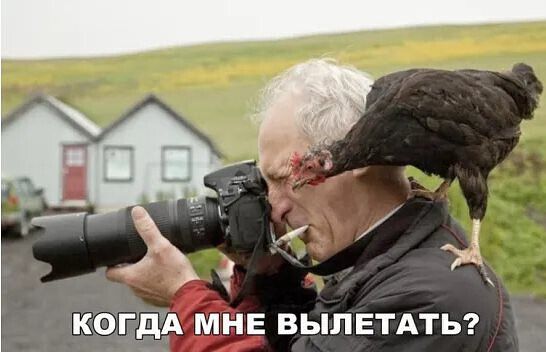 КОГДА МНЕ ВЫПЕТАТЬ