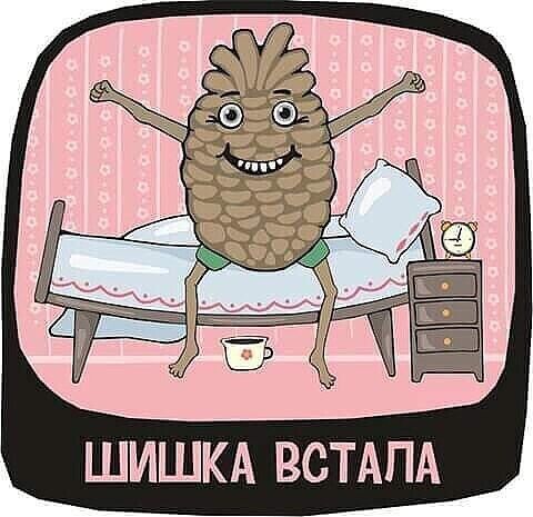 ШИШКА ВСТАПА