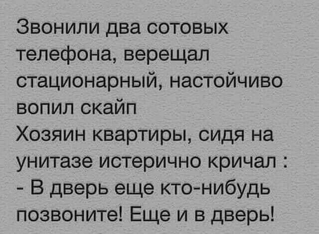 Звонили два сотовых телефона верещал стационарный настойчиво вопил скайп Хозяин квартиры сидя на унитазе истерично кричал В дверь еще кто нибудь позвоните Еще и в дверь