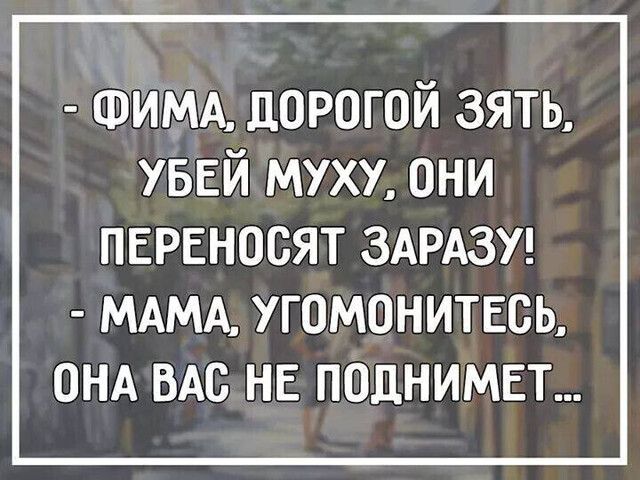 ФИМА дорогой зять УБЕЙ муху они ПЕРЕНОСЯТ ЗАРАЗУ МАМА УГОМОНИТЕСЬ ОНА ВАС НЕ ПОДНИМЕТ