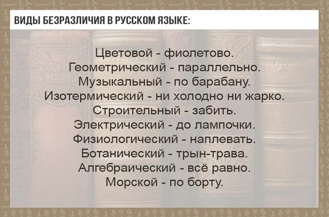ВИДЫ БЕЗРАЗПИЧИЯ В РУССКОМ ЯЗЫКЕ Цветовой фиолетово Геометрический параллельно Музыкальный по барабану Изотермический ни холодно ни жарко Строительный забить Электрический до лампочки Физиологический наплевать Ботанический трын трава Алгебраический всё равно Морской по борту