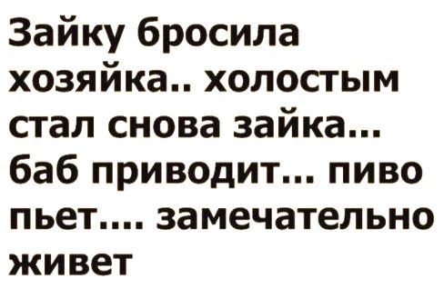 Зайку бросила хозяйка холостым стал снова зайка баб приводит пиво пьет замечательно живет
