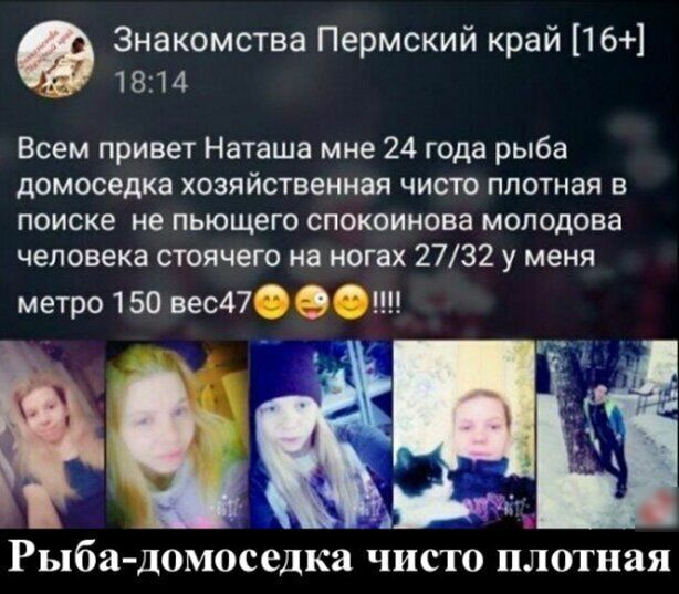 Знакомства Пермский край 16 1814 Всем привет Наташа мне 24 года рыба домоседка хозяйственная чисто плотная в поиске не пьющего спокоинова молодова человека стоячего на ногах 2732 у меня метро 150 вес47 О А Рыба домоседка чисто плотная