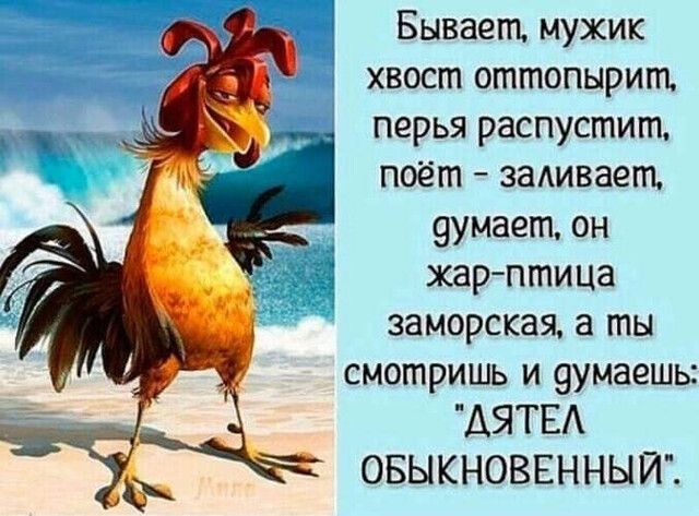 Бывает мужик хвост оттопырит перья распустит поёт заАивает 9умает он Жар птИЦа заморская ты смотришь и 9умаешь АЯТЕА ОБЫКНОВЕННЫЙ