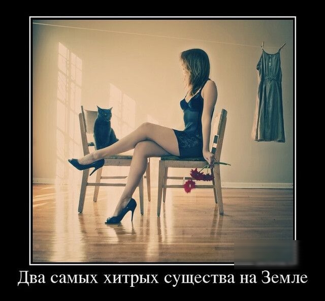 Два самых хитрых существа на Земле