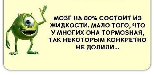 МОЗГ НА 80 СОСТОИТ ИЗ ЖИДКОСТИ МАЛО ТОГО ЧТО У МНОГИХ ОНА ТОРМОЗНАЯ ТАК НЕКОТОРЫМ КОНКРЕТНО НЕ дОПИЛИ