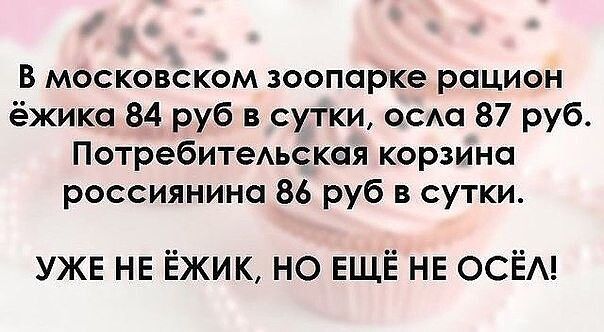 В московском зоопарке рацион ёжика 84 руб в сутки оса 87 руб ПотребитеАьская корзина россиянина 86 руб в сутки УЖЕ НЕ ЁЖИК НО ЕЩЁ НЕ ОСЁА