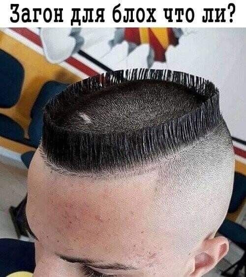 Загон для блох что ли