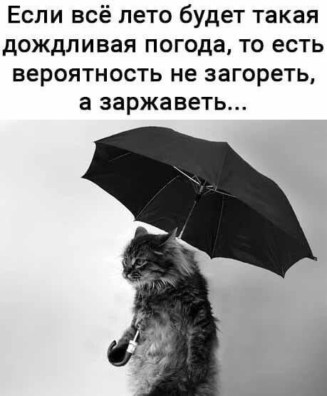 Если всё лето будет такая дождливая погода то есть вероятность не загореть а заржаветь