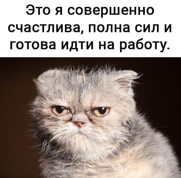 Это я совершенно счастлива полна сил и готова идти на работу