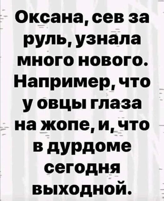э Оксана сев за руль узнала много нового Например что у овцы глаза на жопе и что в дурдоме сегодня выходной