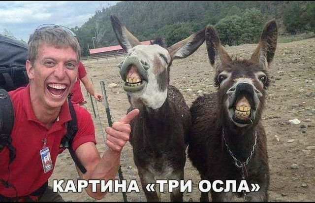 ОСПА гі