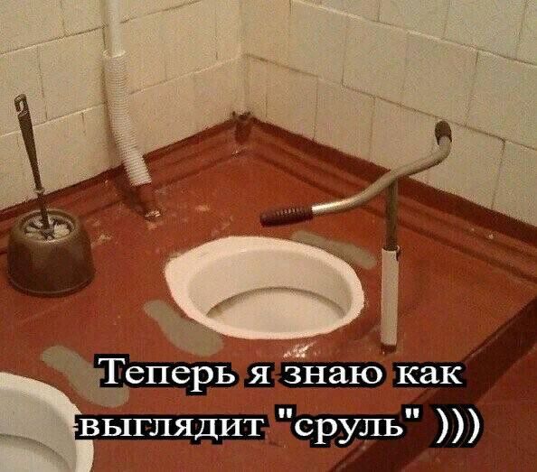_____ выглядитс