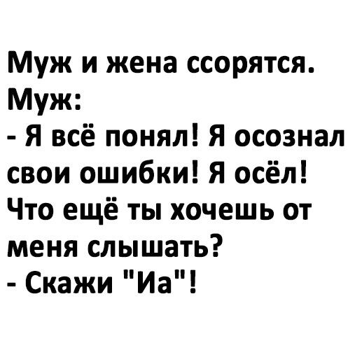 Муж и жена ссорятся Муж Я всё понял Я осознал свои ошибки Я осёл Что ещё ты хочешь от меня слышать Скажи Иа