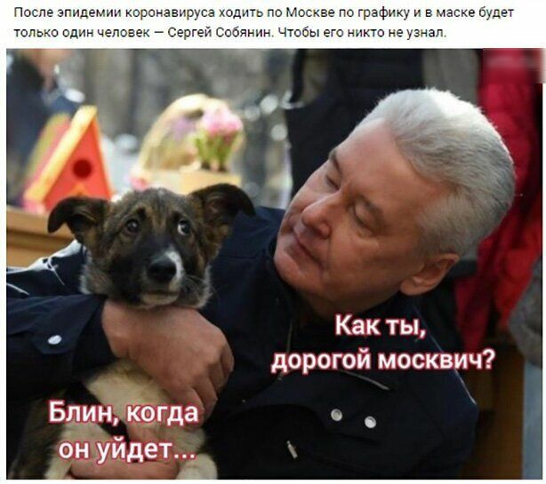 не по граф в маске а его никто не Как ты дорогой москвич Блинжогда _ _ он уйдет _