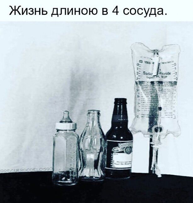 Жизнь длиною в 4 сосуда