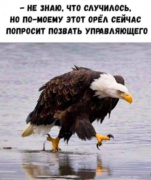 НЕ ЗНАЮ ЧТО САУЧИАОСЬ НО ПО МОЕМУ ЭТОТ ОРЁА СЕЙЧАС ПОПРОСИТ ПОЗВАТЬ УПРАВЛЯЮЩЕГО