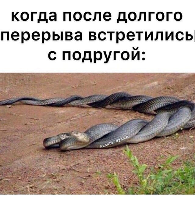 когда после дОЛГОГО перерыва встретились с подругой
