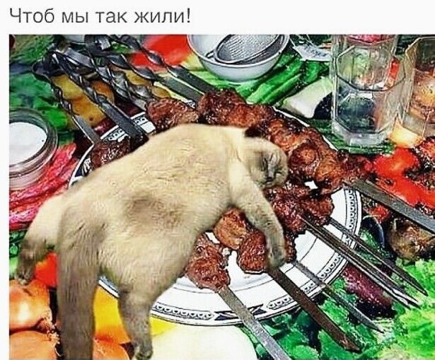 Чтоб мы так жили