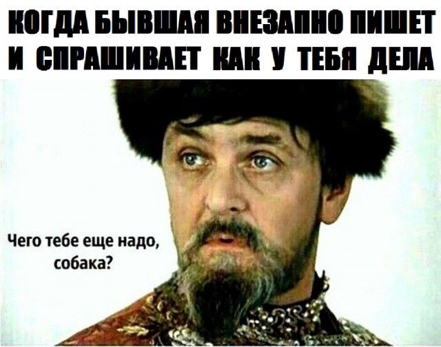 ШИМ БЫВШЯ ВЕЗШО ЕТ И ЁШРДШИШП ТЕВ дШ Чего тебе еще надо собака
