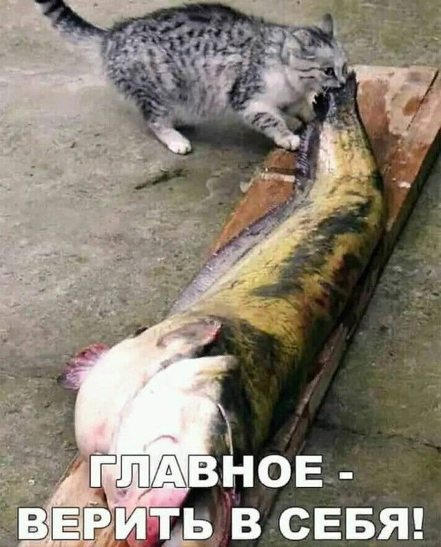 ГМВНОЕ ь в СЕБЯ