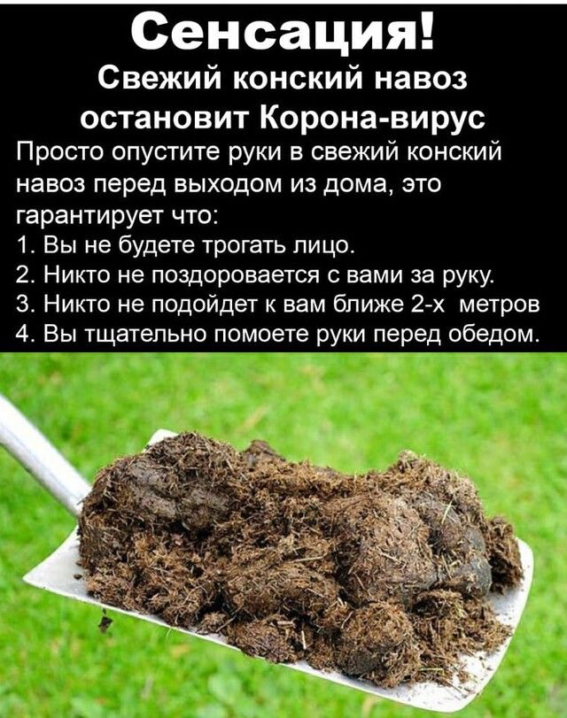 Сенсация Свежий конский навоз остановит Корона вирус Просто опустите руки в свежий конский навоз перед выходом из дома это гарантирует что 1 Вы не будете трогать лицо 2 Никто не поздоровается вами за руку З Никто не подойдет к вам ближе 2х метров 4 Вы тщательно помоете руки перед обедом