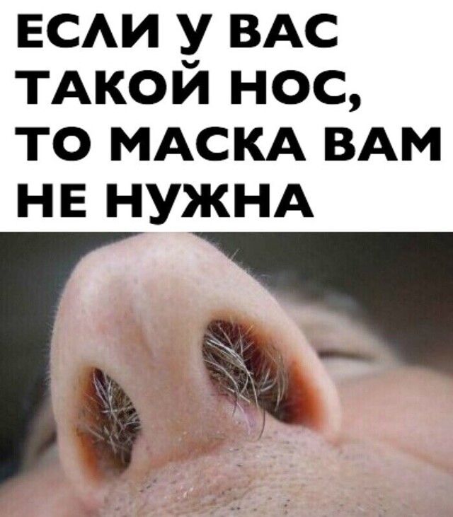 ЕСАИ ВАС ТАКОИ НОС ТО МАСКА ВАМ НЕ НУЖНА