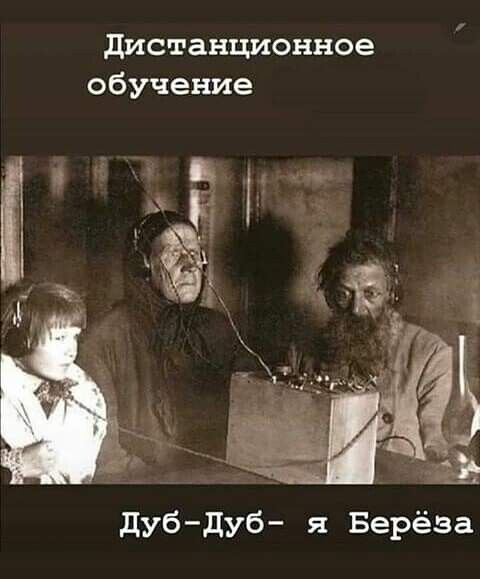 дистанционное обучение дубдуб я Берёза